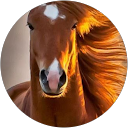PJ Widerman profile picture